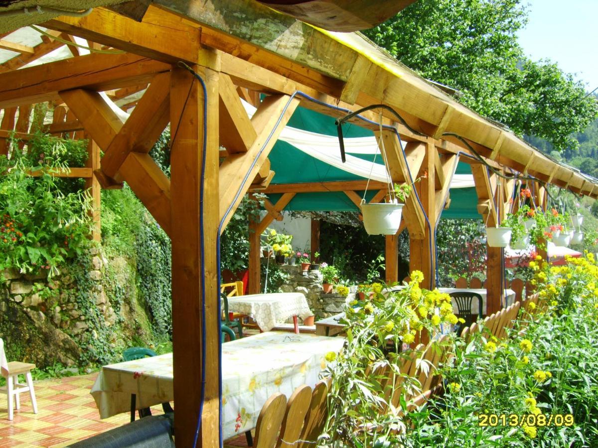 Cabana Suprema Armonie Dîmbovicioara Extérieur photo