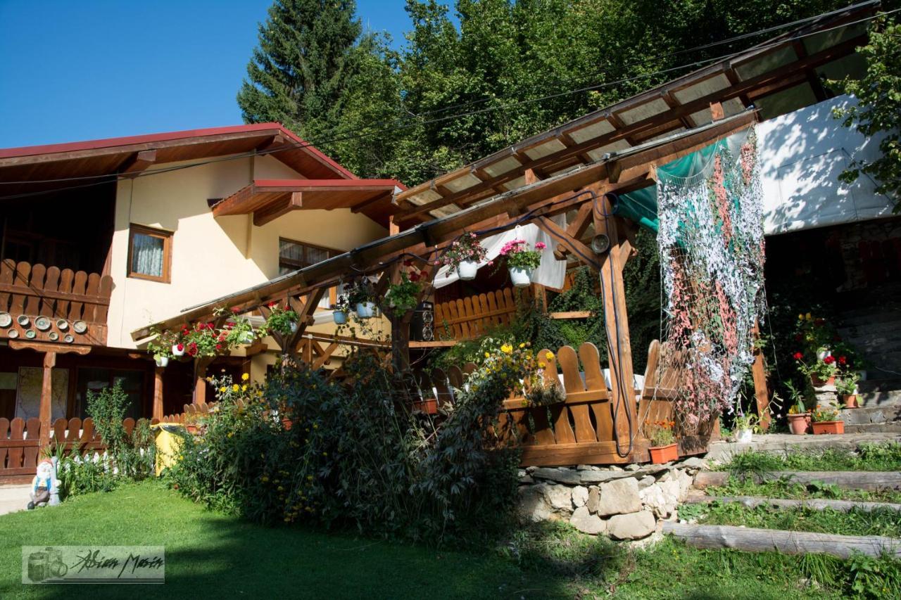 Cabana Suprema Armonie Dîmbovicioara Extérieur photo